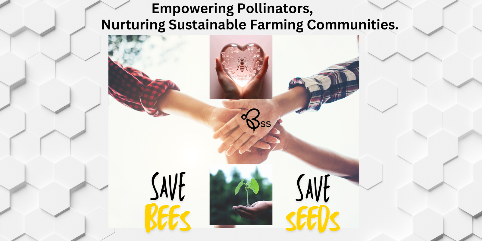 save bees save seeds