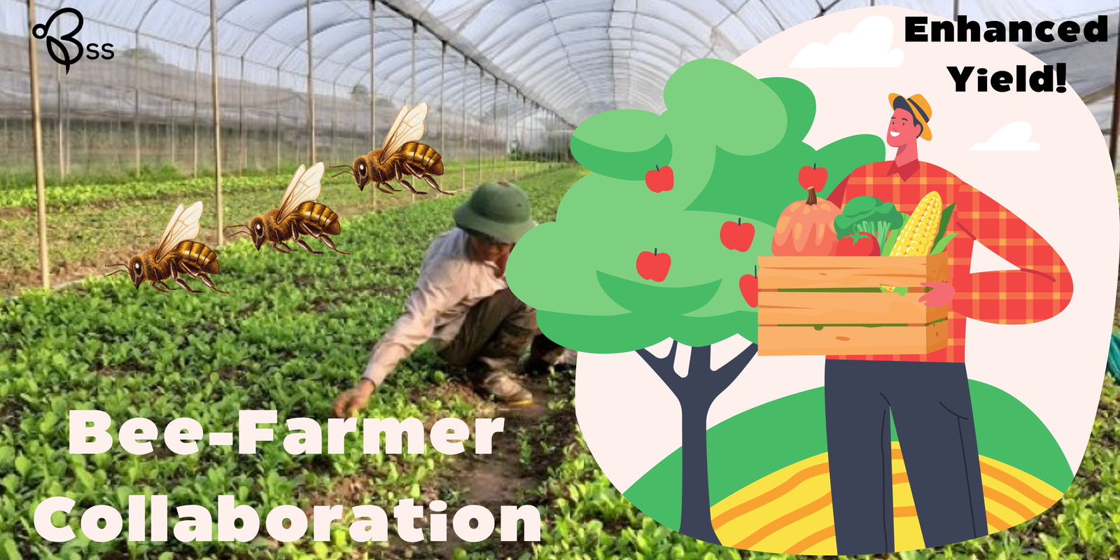 bee farming collaboration